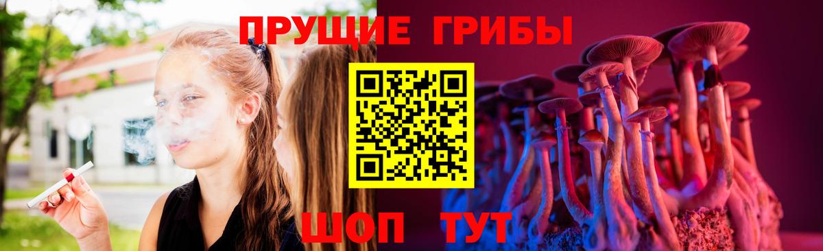 Псилоцибиновые грибы Cubensis Воткинск